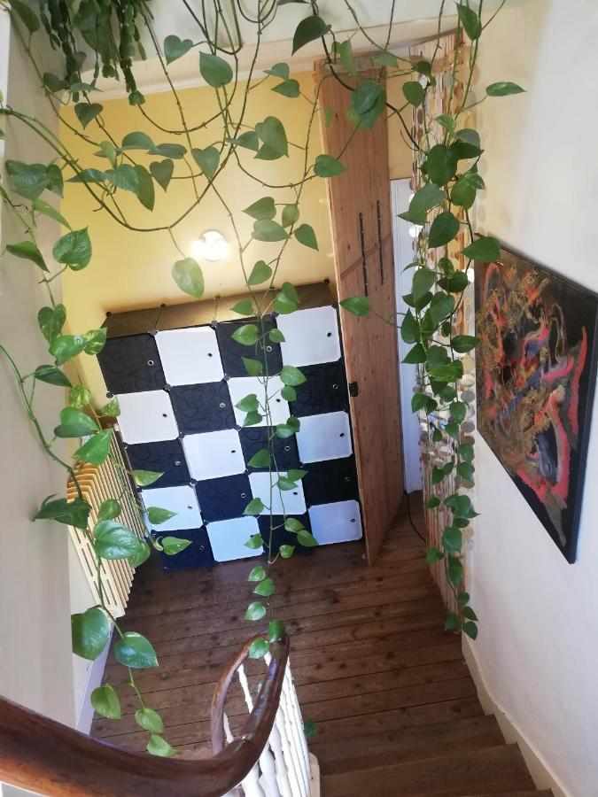 La Chambre D'Hote De Christelle Apartment Cherbourg-en-Cotentin Luaran gambar